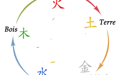 Les 5 éléments de Médecine Traditionnelle Chinoise